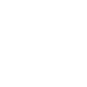 Fitness Bundesliga